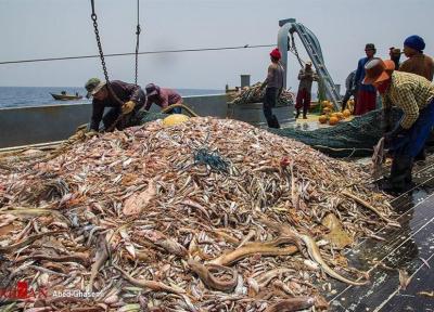 تایید رسمی ماهیگیری چینی ها در آب های عمیق ایران در دریای عمان