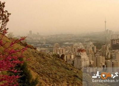 بام تهران؛ محلی برای تماشای پایتخت از بالا !