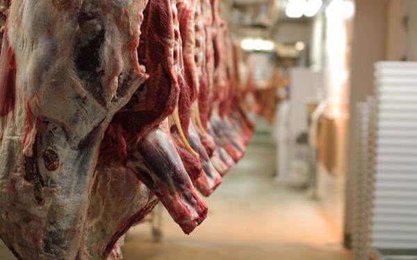 قیمت گوشت 2 خرداد 1401، قیمت ها به زودی کاهش می یابد؟