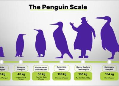پنگوئن غول پیکر 160 کیلویی با 2 متر قد، عکس